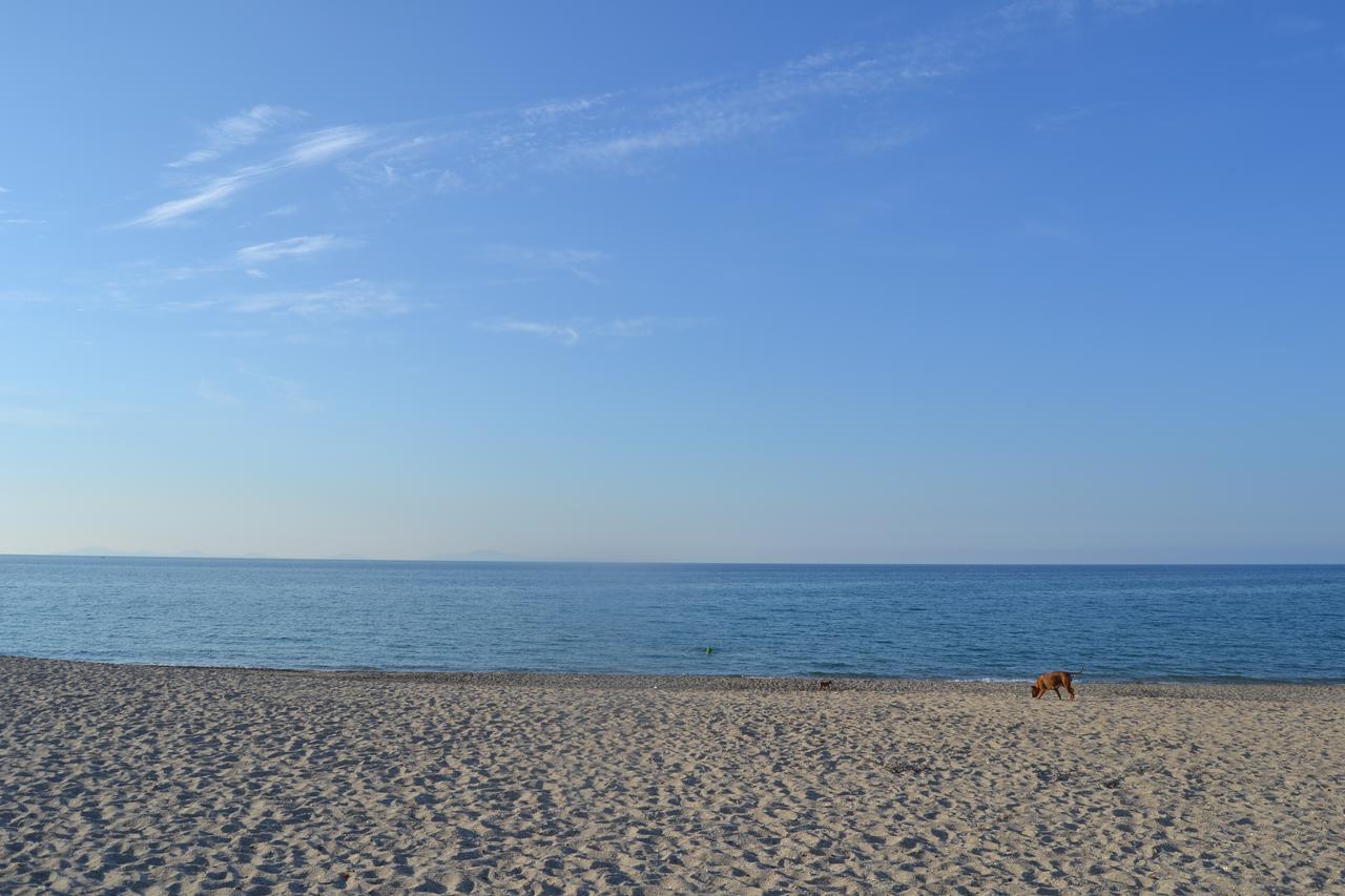 Miramare Struttura Sulla Spiaggia 플라타모나 외부 사진